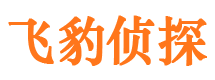 岳阳楼捉小三公司